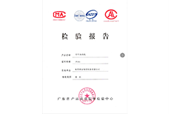 檢測報告